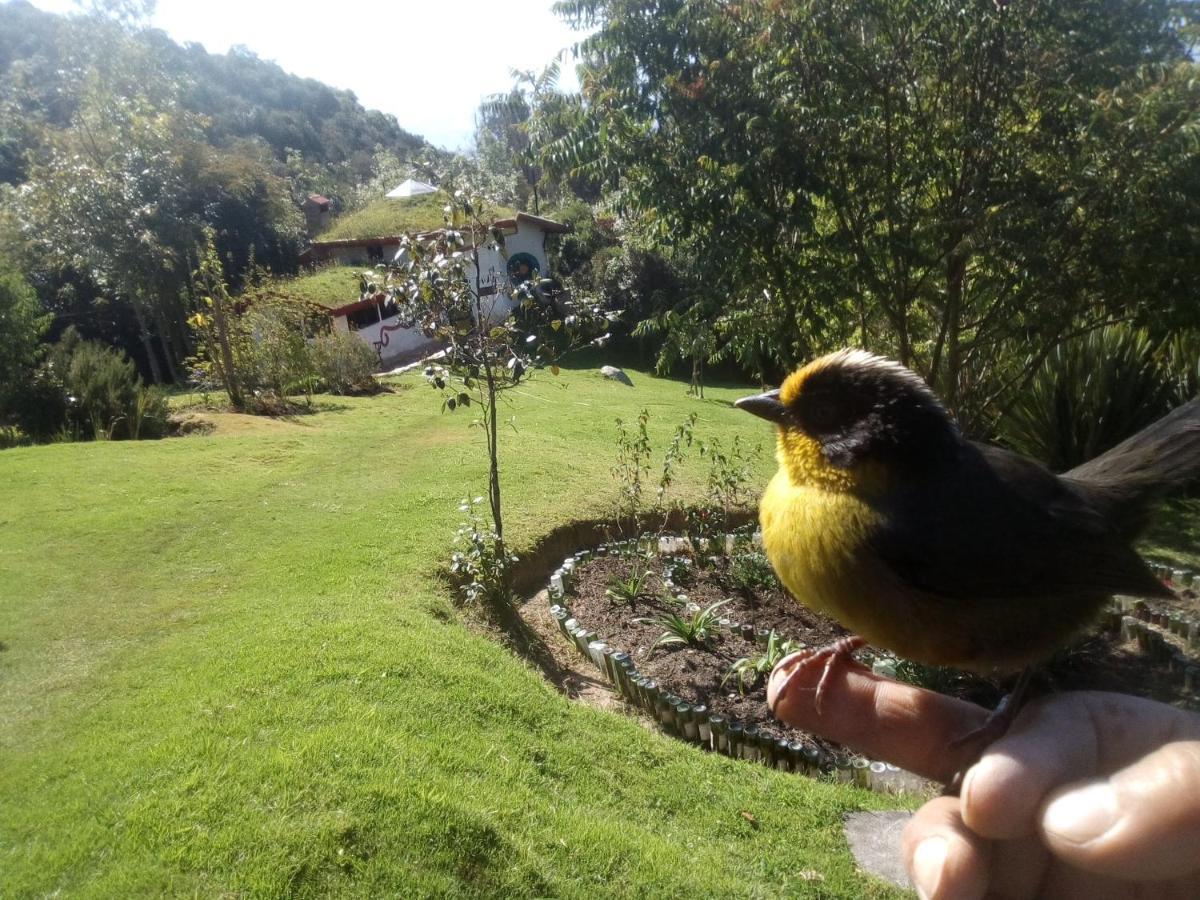 Jardin Colibri Rnt 33633 Villa Guatavita Eksteriør billede