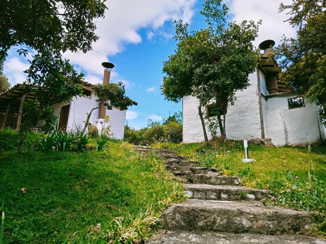 Jardin Colibri Rnt 33633 Villa Guatavita Eksteriør billede