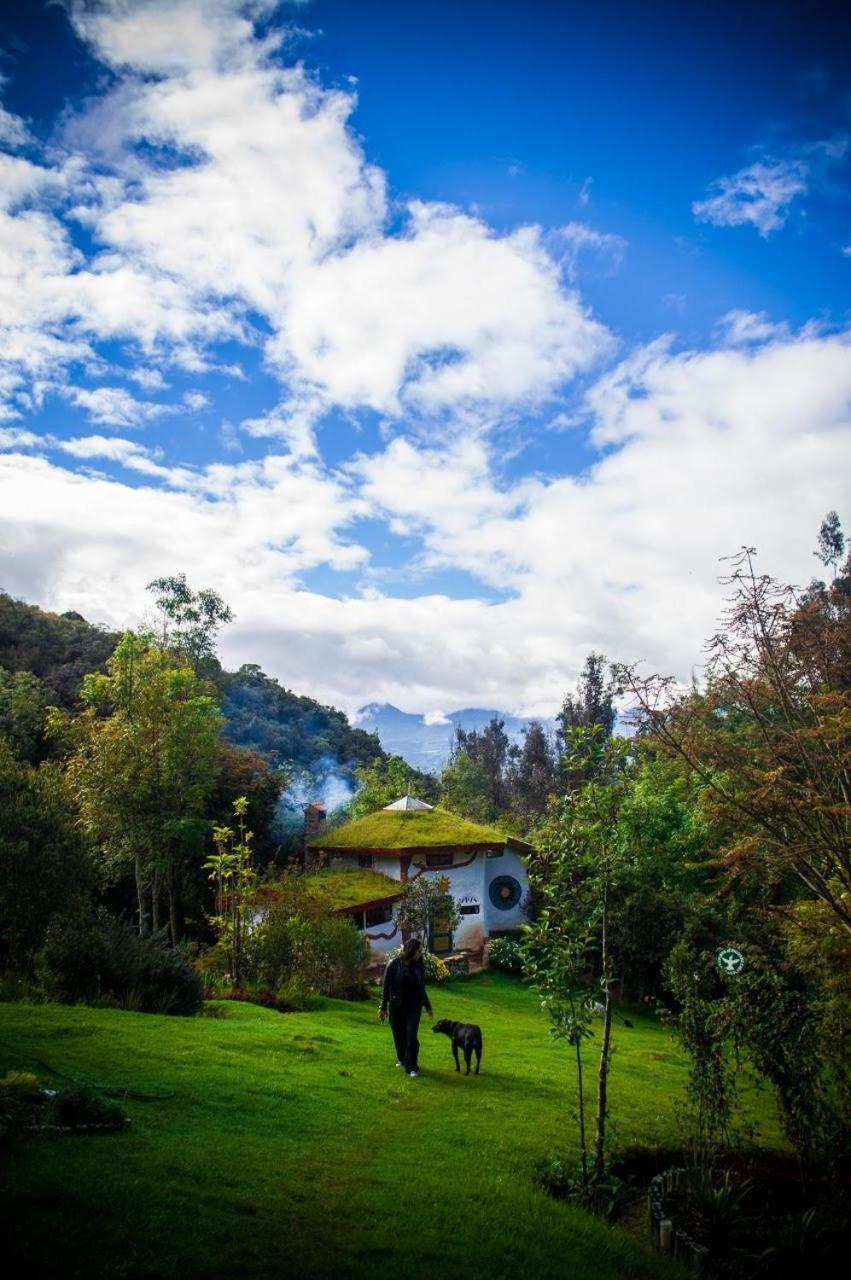 Jardin Colibri Rnt 33633 Villa Guatavita Eksteriør billede