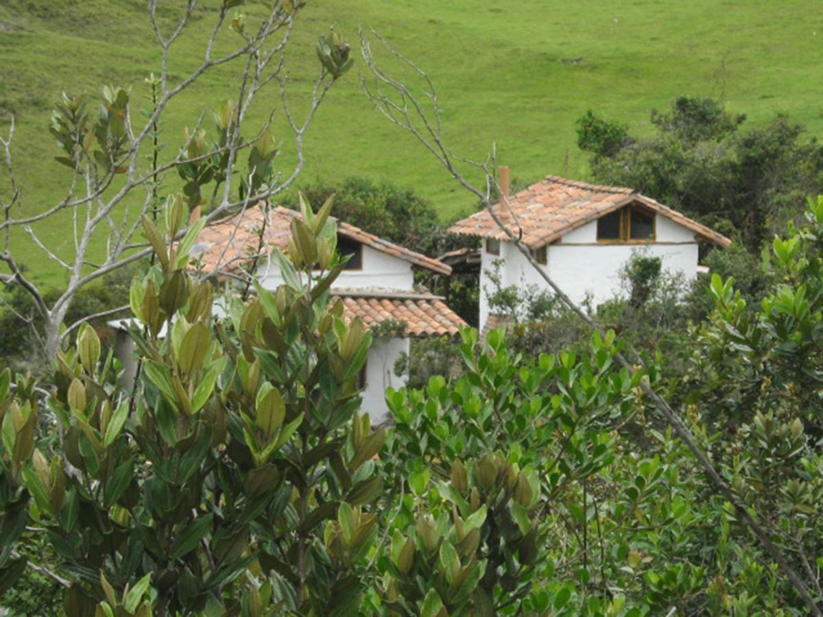 Jardin Colibri Rnt 33633 Villa Guatavita Eksteriør billede