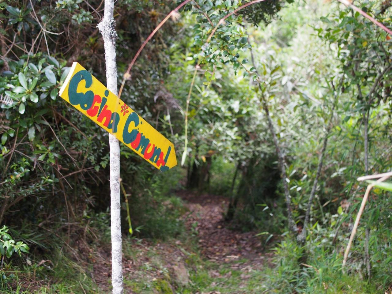 Jardin Colibri Rnt 33633 Villa Guatavita Eksteriør billede