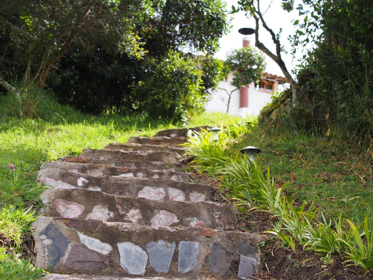 Jardin Colibri Rnt 33633 Villa Guatavita Eksteriør billede